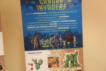 Una alumna del Colegio Hilda Zudán (Telde) gana el concurso escolar de dibujos de invertebrados/TA.